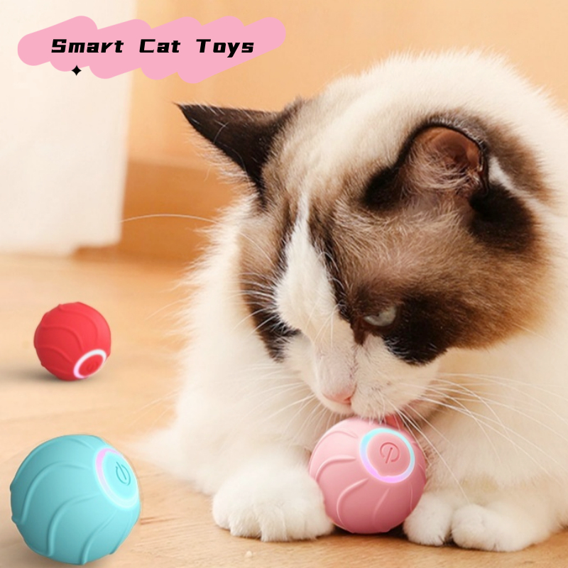 Pawtick Interactive Rolling Ball – Automatic Cat & Small Dog Toy