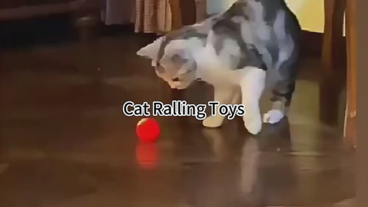 Pawtick Interactive Rolling Ball – Automatic Cat & Small Dog Toy
